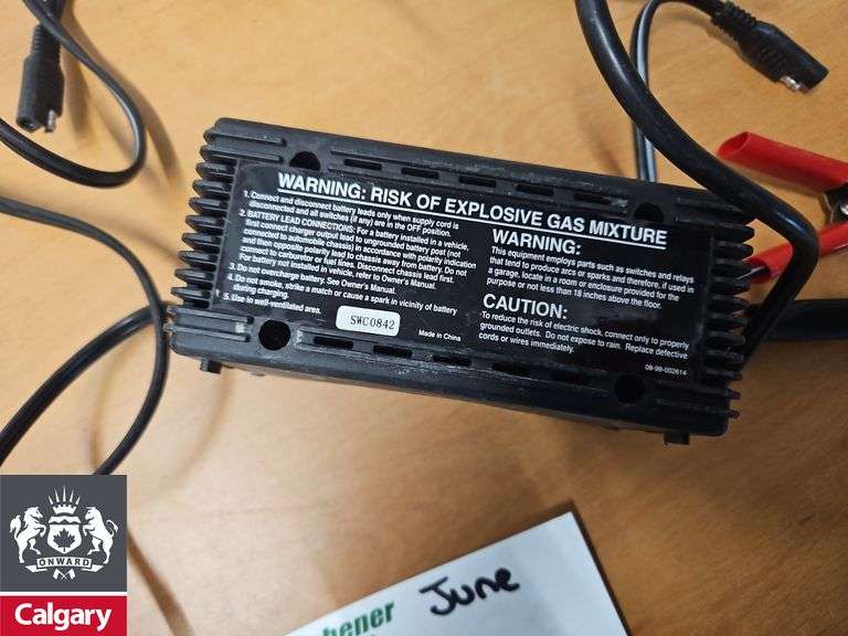 Motomaster Battery Charger