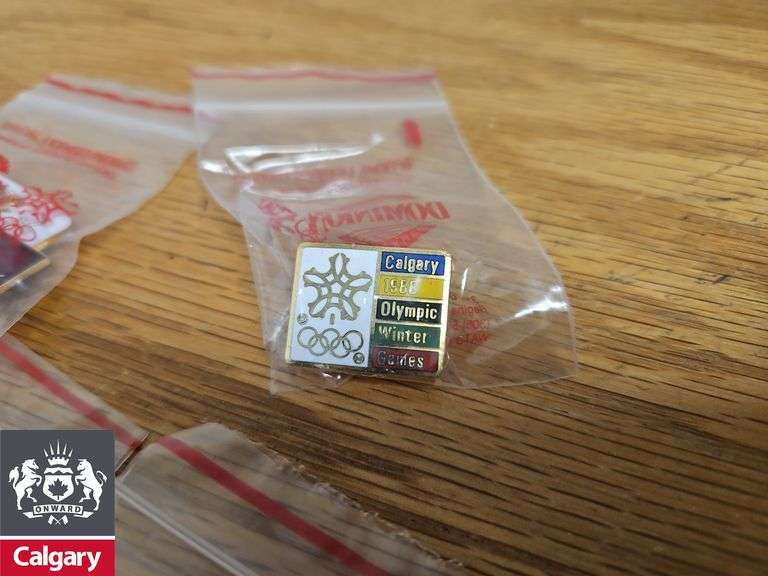 4x Pins