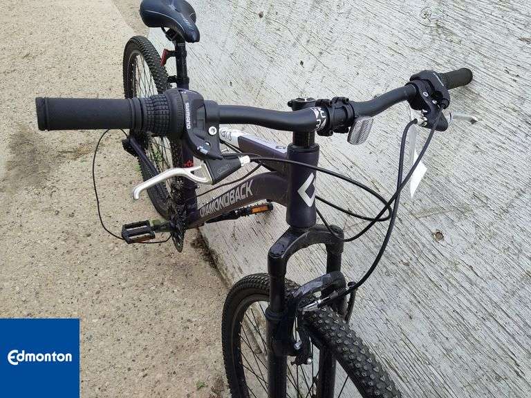 Diamondback Odyssey