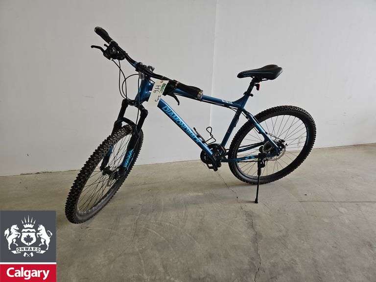 Men's Blue Diamondback Ridgeback