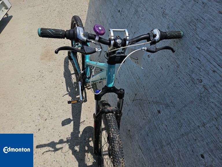 Trek Skye NO SEAT - Qty.1