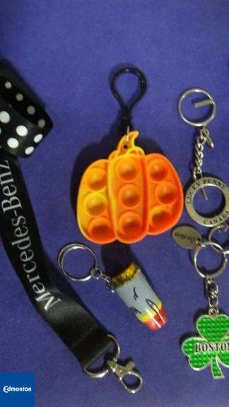 Lot of Keychains w/Lanyard