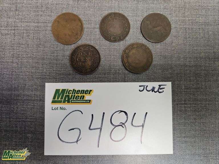 Late 1800's Early 1900's Copper Pennies Qty 5