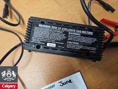 Motomaster Battery Charger