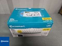 Box with 12 Ecosmart 60W Bulbs