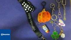 Lot of Keychains w/Lanyard