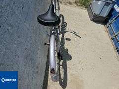 Supercycle Camellia - Qty.1