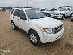 2012  Ford  Escape   XLT 4dr SUV