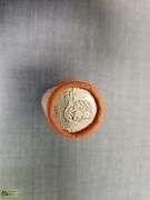 Unopened 2007 RCM Rolled Olympic Quarters