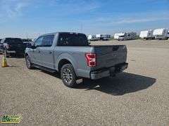 2019  Ford  F-150  4x4 XLT Sport 4dr SuperCrew 5.5 ft. SB