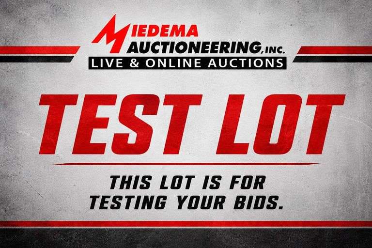 Test Lot - This lot is used to test your bids