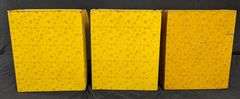 SET OF 3 EARLY TIN LITHO COUNTRY STORE SPICE BINS AMERICAN CAN CO CINNAMON MUSTARD ALLSPICE