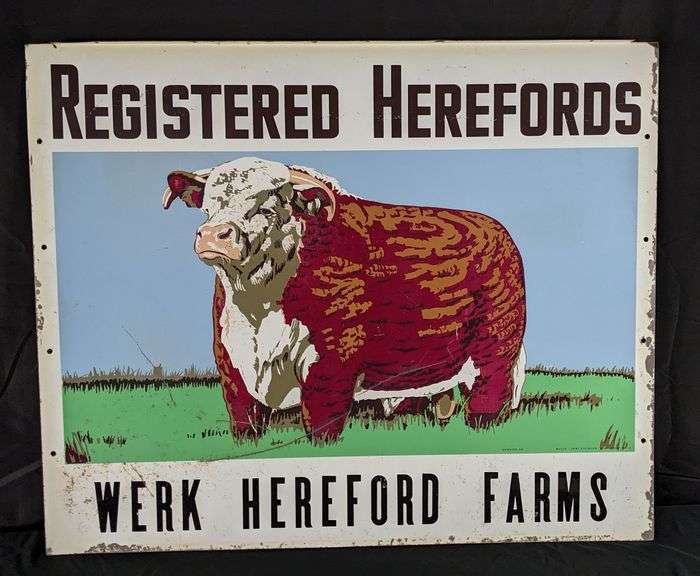 TIN LIVESTOCK COW SIGN REGISTERED HEREFORDS WERK HEREFORD FARM (2 SIDED)