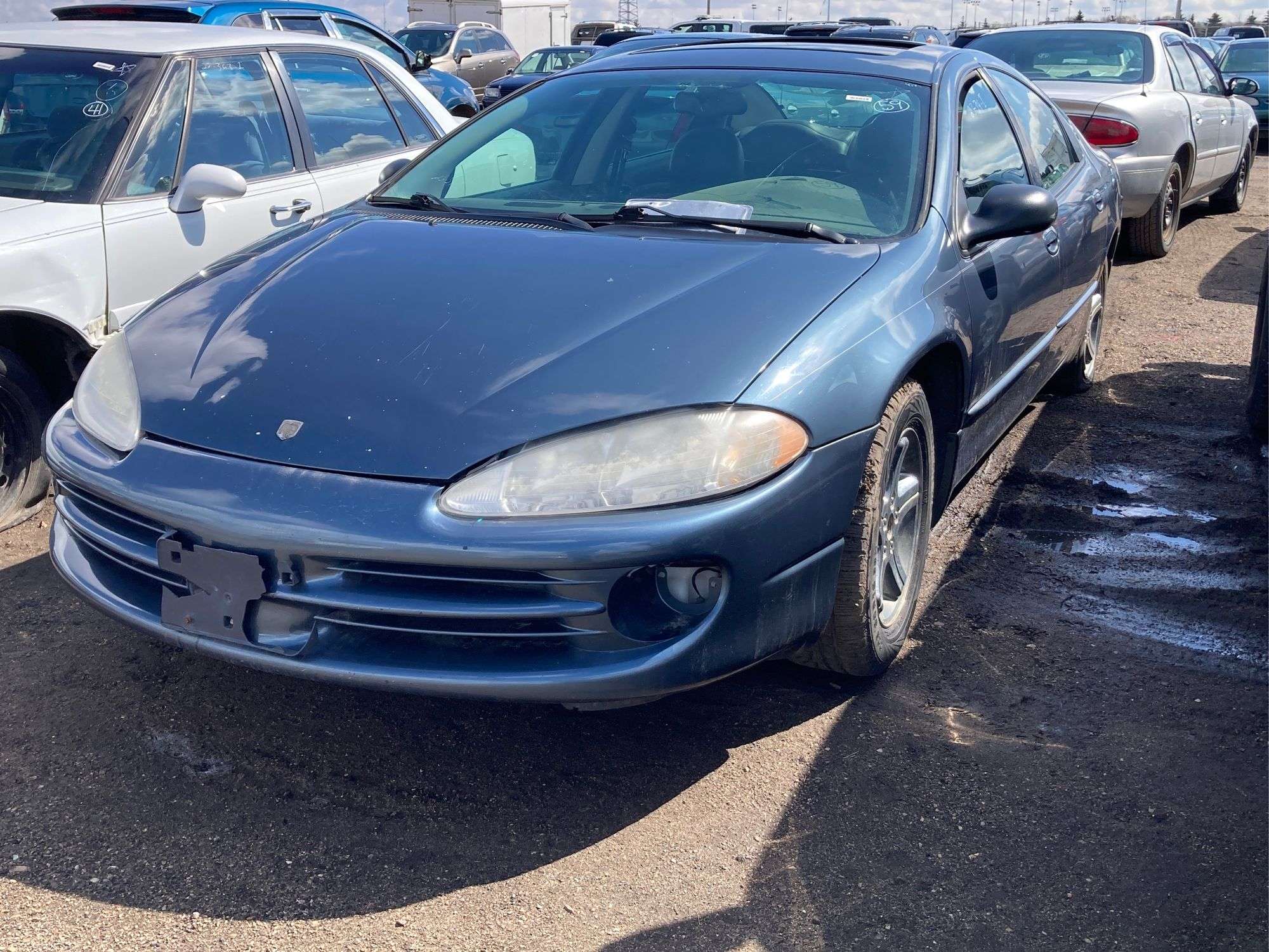 洋楽 MR.WILL / GODSWILL 2003 / 洋楽 MR.WILL GODSWILL 2003