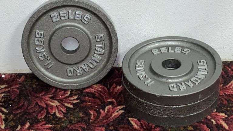 25 lbs olympic plates