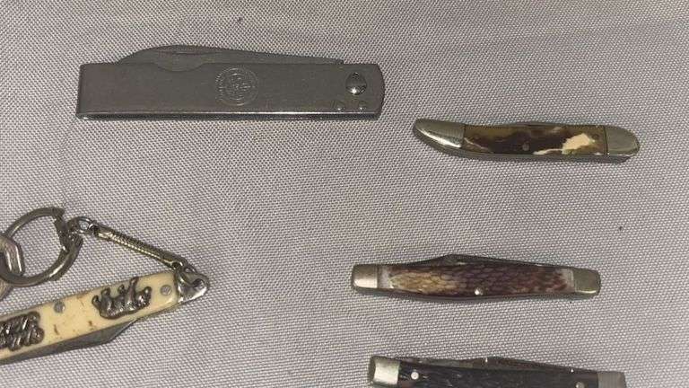 Collection of Pocket Knives with Various Handle Materials and Keychain Feature