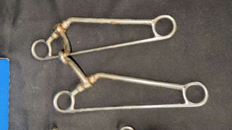 Equestrian Horse Bits and Leather Reins Set, Various Styles