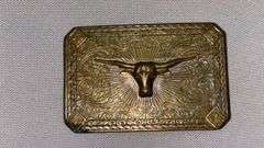 Vintage Wells Fargo & Co Belt Buckle Set, Texas Ranger, Longhorn