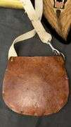 Lion-Themed Decorative Collection: Plate, Framed Art, Leather Pouch & Brass