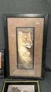 Lion-Themed Decorative Collection: Plate, Framed Art, Leather Pouch & Brass