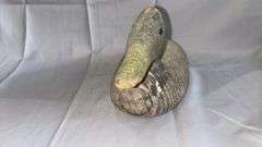 Vintage Hand-Carved Wooden Duck Decoy with Metal Keel