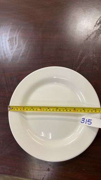White Dinner Plates, 10 Inch Diameter, Plain Design