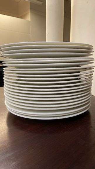 White Porcelain Dinner Plates, 11-inch Diameter