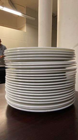 White Dinner Plates, 10 Inch Diameter, Plain Design