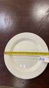 White Dinner Plates, 10 Inch Diameter, Plain Design