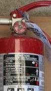 Sentry ABC Fire Extinguisher, 5 lbs Capacity, Dry Chemical Agent - All need charging
