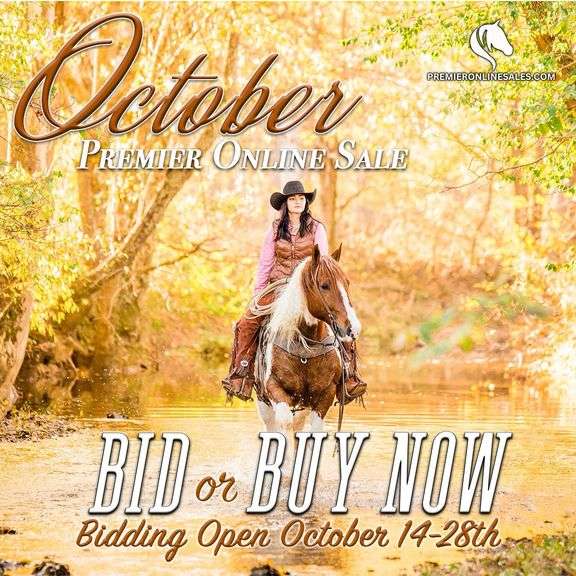 October Premier Online Only Sale