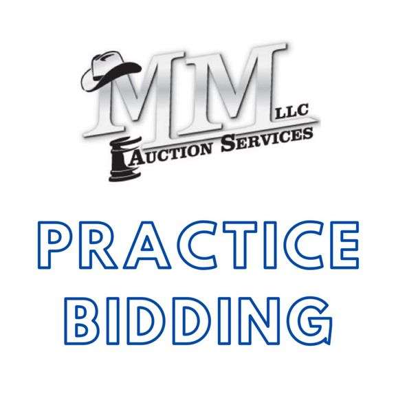 PRACTICE BIDDING