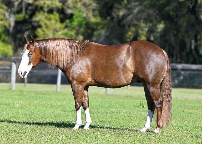 DUNNITWITHADREAMGIRL