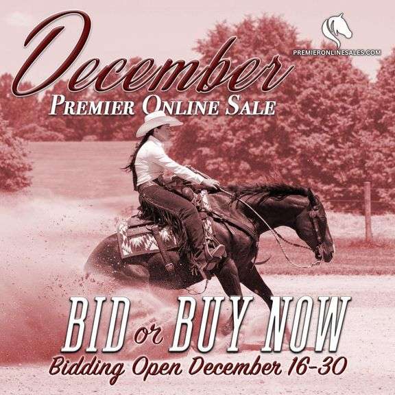 December Premier Online Only Sale