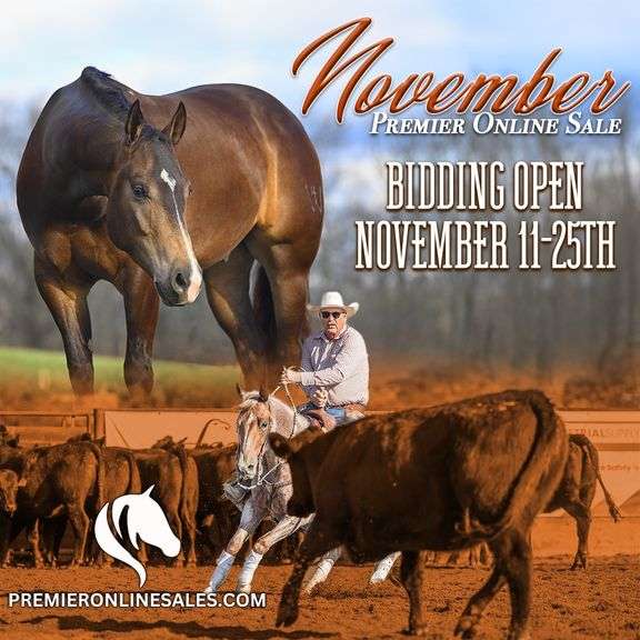 November Premier Online Only Sale