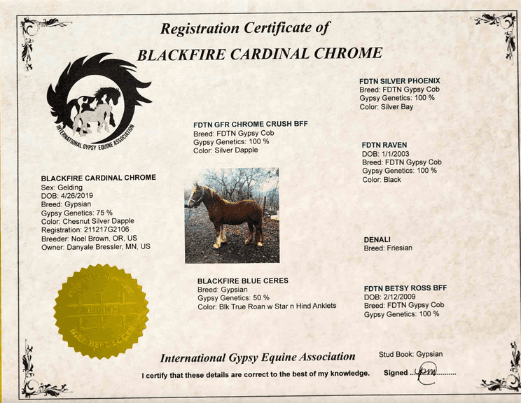 BLACKFIRE CARDINAL CHROME