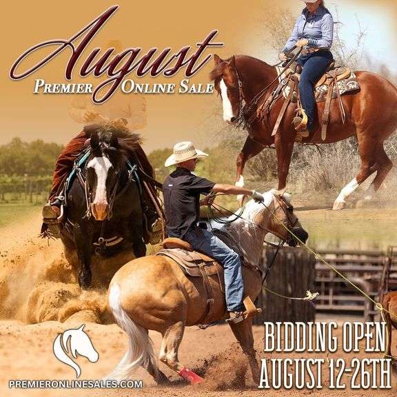 August Premier Online Only Sale