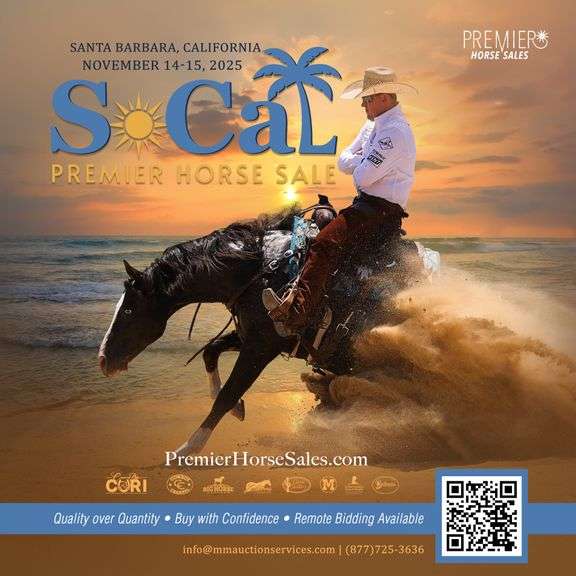 SoCal Premier Horse Sale