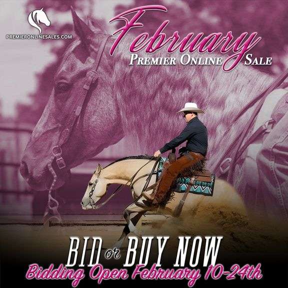 February Premier Online Only Sale