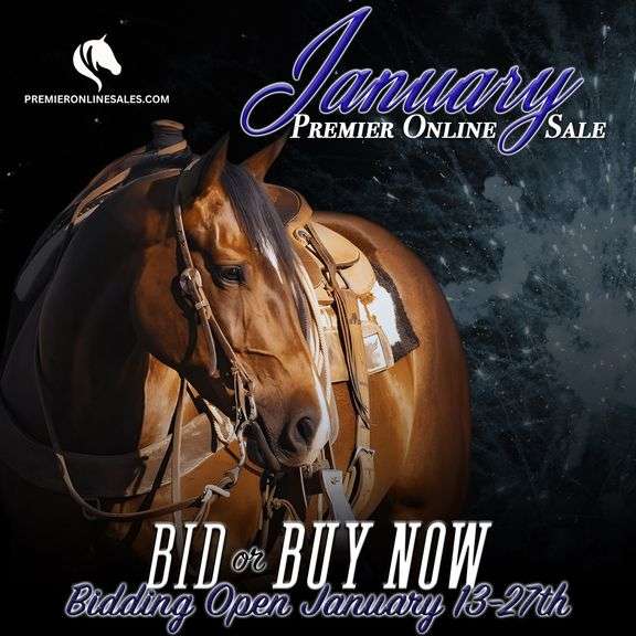 January Premier Online Only Sale