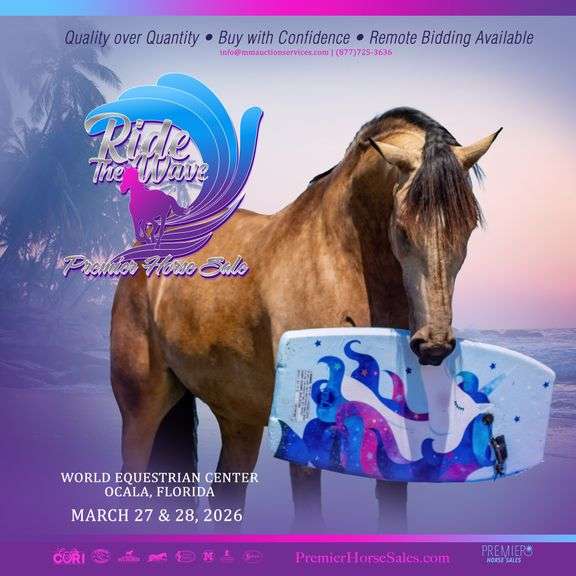 Ride the Wave Premier Horse Sale