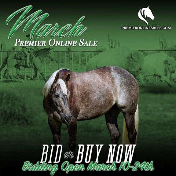 March Premier Online Only Sale