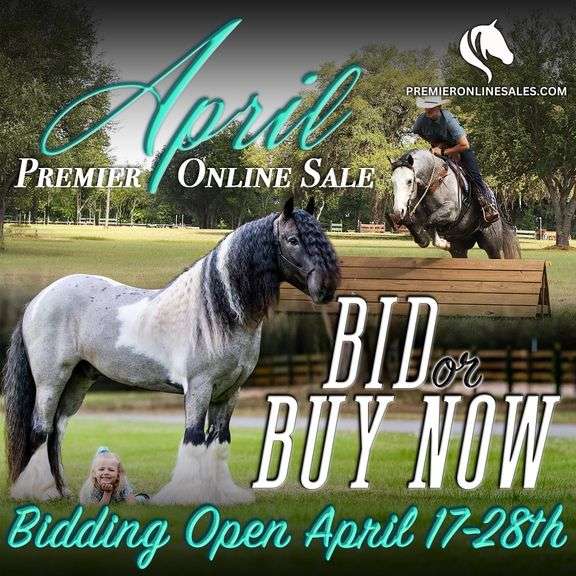April Premier Online Only Horse Sale