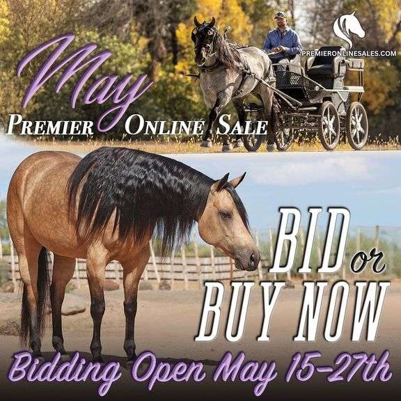 May Premier Online Only Horse Sale