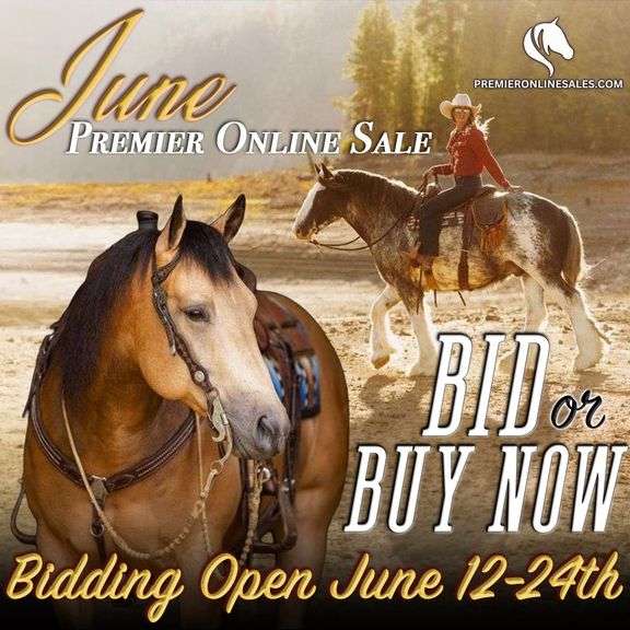 June Premier Online Only Horse Sale