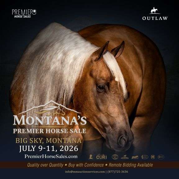 Montana's Premier Horse Sale