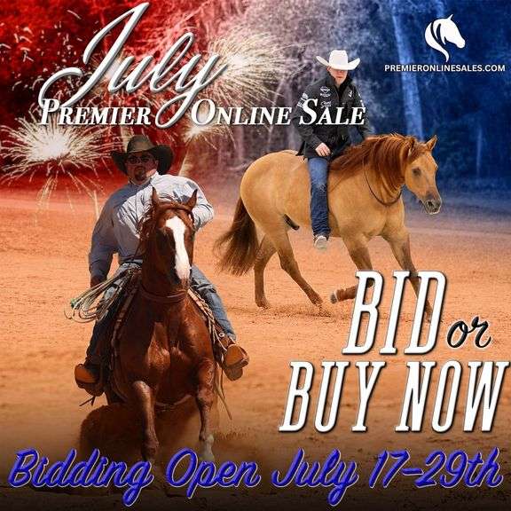July Premier Online Only Horse Sale