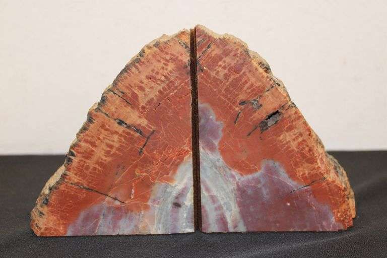 Petrified Wood Bookends