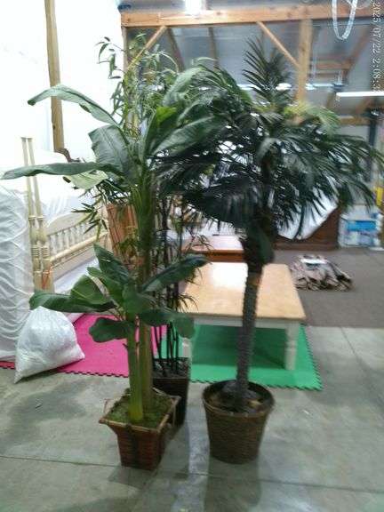 3 artificial plants 5-6 feet tall