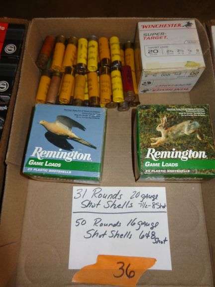 31 rounds 20 gauge #7.5-8 shot, 50 rounds 16 gauge 6 and 8 shot